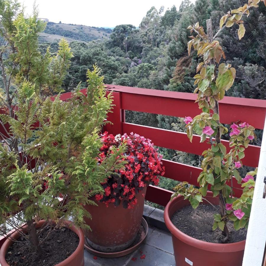 Apartmán Cobertura Luxuosa De 250 M2 A 3Kms Do Centrinho Vista Espetacular Campos do Jordão Exteriér fotografie